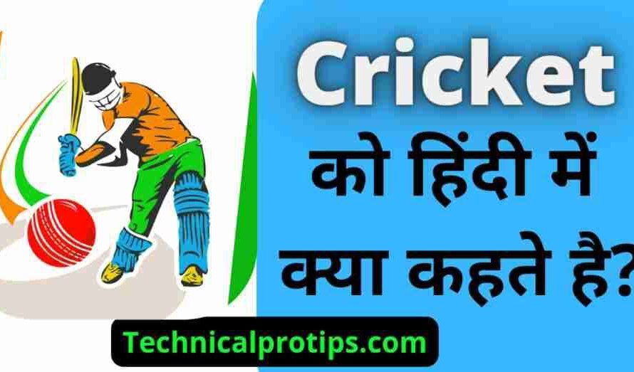 Cricket ko hindi mein kya kahate hain | क्रिकेट को हिंदी में क्या कहते हैं?