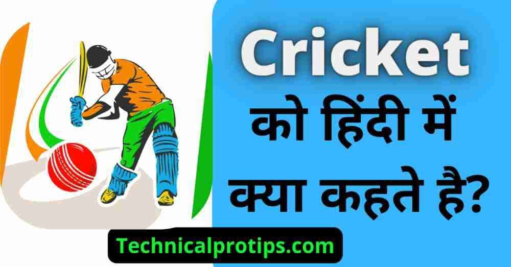 Cricket ko hindi mein kya kahate hain | क्रिकेट को हिंदी में क्या कहते हैं?