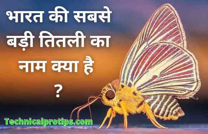 bharat ki sabse badi titli ka naam kya hai | भारत की सबसे बड़ी तितली का नाम क्या है