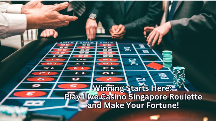 Winning Starts Here: Play Live Casino Singapore Roulette and Make Your Fortune!