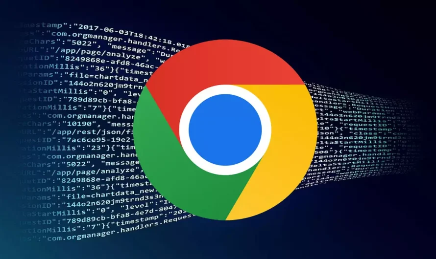 Chrome //net-internals/#dns: What is Chrome and DNS?